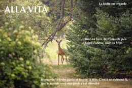 Luisa Bevilacqua -ALLA VITA - Lisame